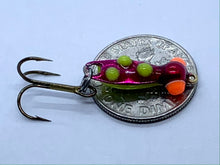 Load image into Gallery viewer, Lucky Bug (price is per jig)
